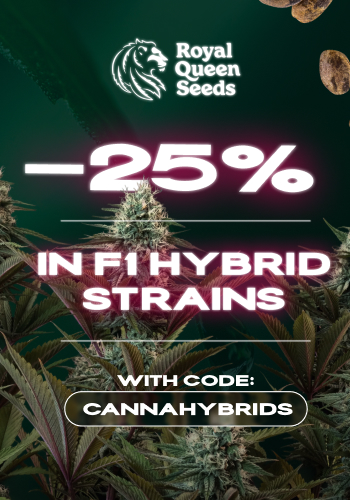 Royal Queen Seeds